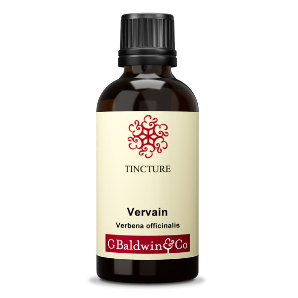 Baldwins Vervain ( Verbena Officinalis ) Herbal Tincture