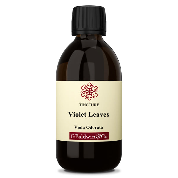 Baldwins Violet ( Viola Odorata ) Herbal Tincture