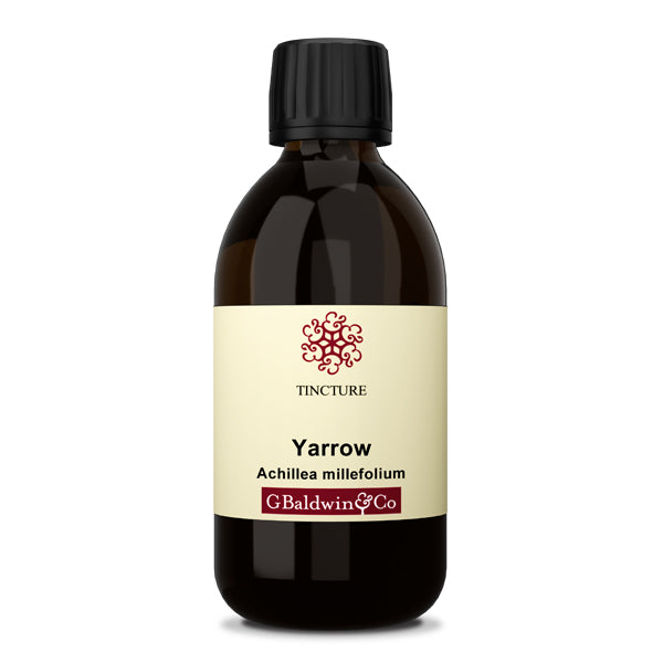 Baldwins Yarrow ( Achillea Millefolium ) Herbal Tincture