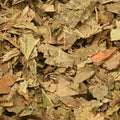 Baldwins Walnut Leaves ( Juglans regia )