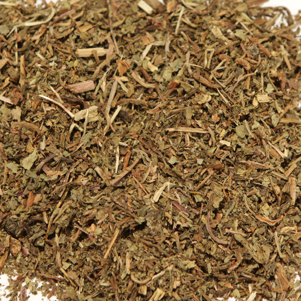 Baldwins Wild Lettuce ( Lactuta virosa ) Herb
