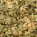 Baldwins Witchazel ( Hamamelis virginiana ) Leaves
