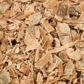 Baldwins Witchazel ( Hamamelis virginiana ) Bark