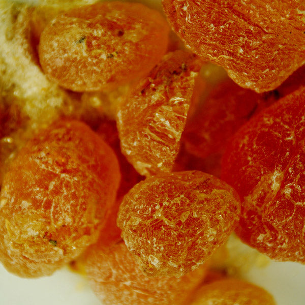 Baldwins Arabic (Acacia) Gum ( Acacia Arabica)