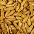 Baldwins Balm Of Gilead (Populus nigra)