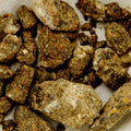 Baldwins Benzoin Gum Lump