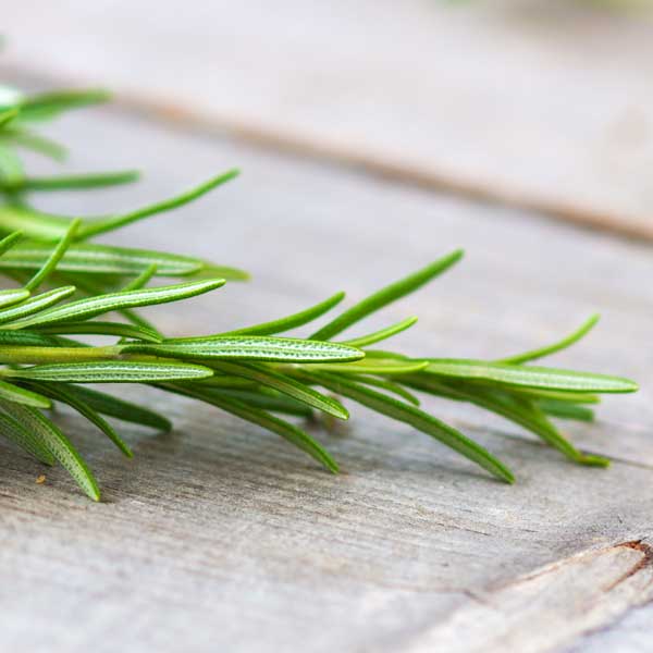 Baldwins Remedy Creator - Pure Zen Tea