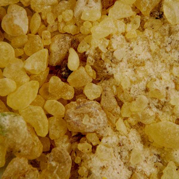 Baldwins Damar Gum