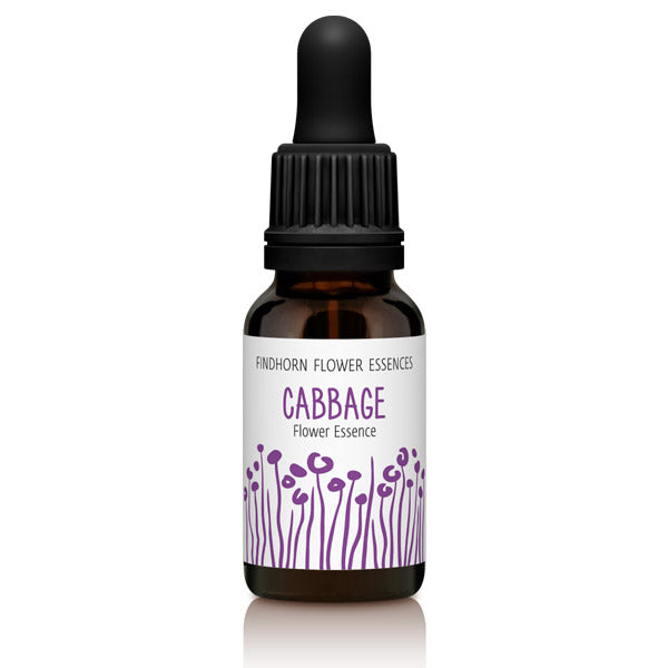 Findhorn Flower Essences Cabbage 15ml