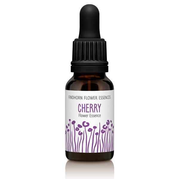 Findhorn Flower Essences Cherry 15ml