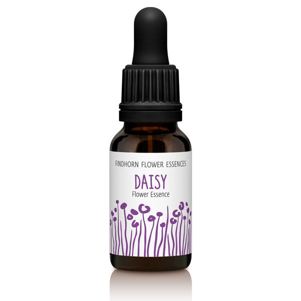 Findhorn Flower Essences Daisy 15ml