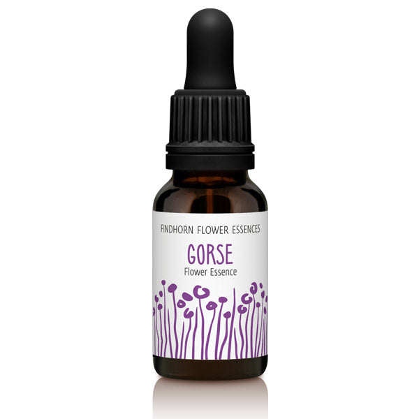 Findhorn Flower Essences Gorse 15ml