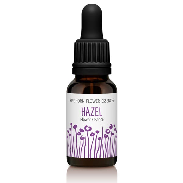 Findhorn Flower Essences Hazel 15ml