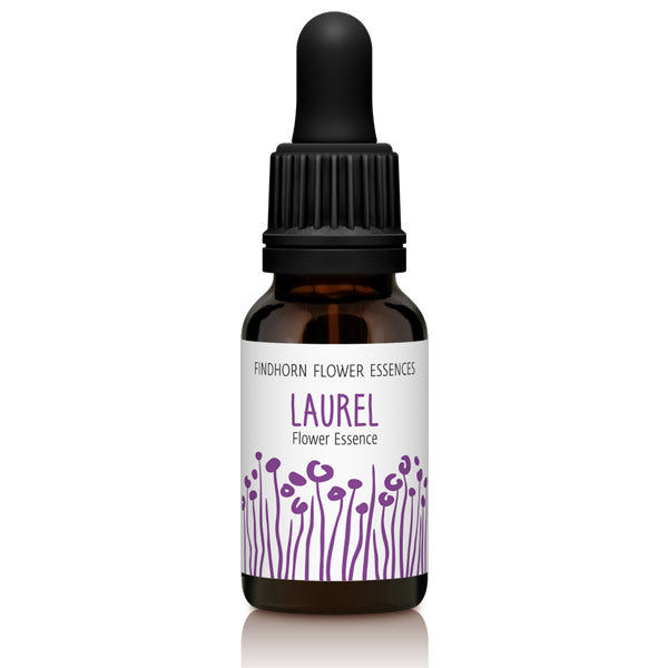 Findhorn Flower Essences Laurel 15ml
