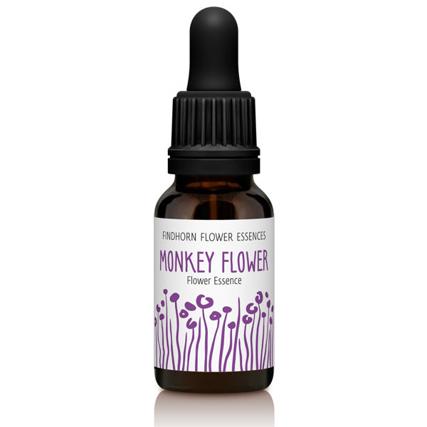 Findhorn Flower Essences Monkey Flower 15ml