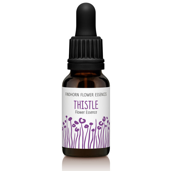 Findhorn Flower Essences Thistle 15ml