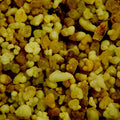 Baldwins Frankincense Grains Gum