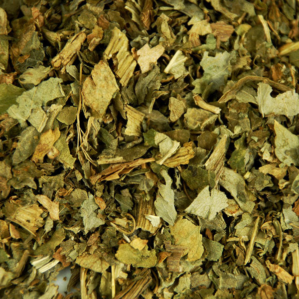 Baldwins Angelica Herb ( Angelica Officinalis )