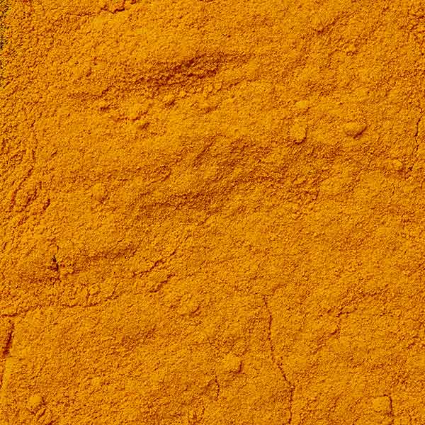 Baldwins Organic Turmeric Powder (Curcuma longa)