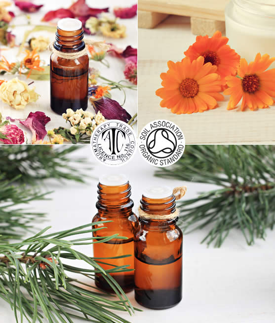 Organic Essential Oils Aromatherapy G Baldwin & Co