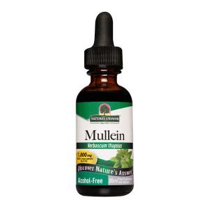 Natures Answer Mullein Alcohol Free Fluid Extract 30ml