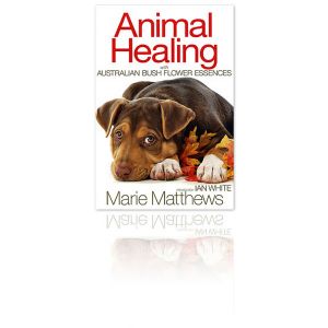 Animal Healing With Australian Bush Flower Essences By Marie Matthews
