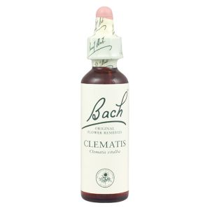 Bach Flower Remedy Clematis