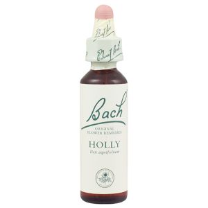 Bach Flower Remedy Holly