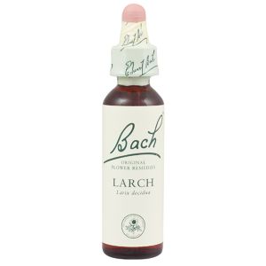 Bach Flower Remedy Larch