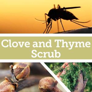 Baldwins Remedy Creator - Clove and Thyme Scrub