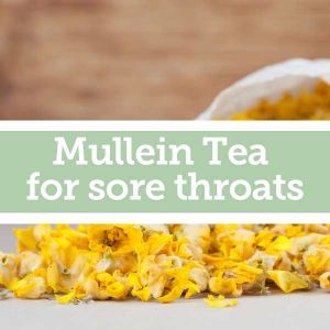 Baldwins Remedy Creator - Mullein Tea for Sore Throats