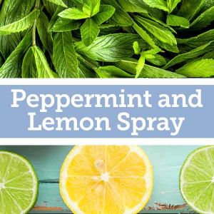 Baldwins Remedy Creator - Peppermint and Lemon Spray