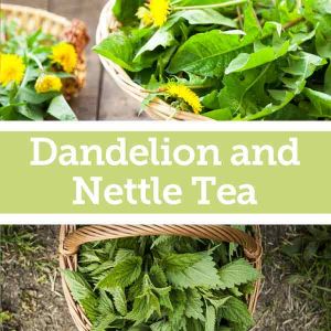 Baldwins Remedy Creator - Dandelion & Nettle Tea for Nervous Exhaustion