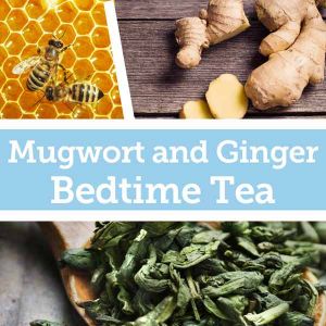 Baldwins Remedy Creator - Mugwort and Ginger Bedtime Tea