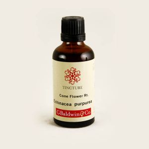 Baldwins Echinacea (purpurea) Herbal Tincture