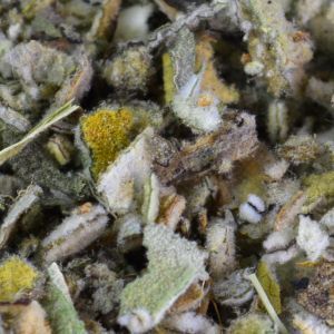 Baldwins Mullein Herb ( Verbascum Thapsus )