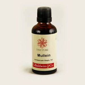 Baldwins Mullein ( Verbascum Thapsus ) Herbal Tincture