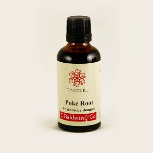 Baldwins Poke Root ( Phytolacca Decandra ) Herbal Tincture