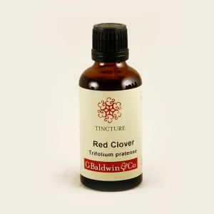 Baldwins Red Clover ( Trifolium Pratense ) Herbal Tincture