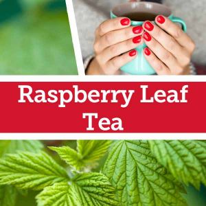 Baldwins Remedy Creator - Raspberry Leaf Tea