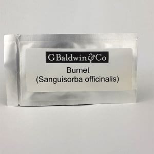 G. Baldwin & Co. Growing Seeds Salad Burnet Seed Packet 5g