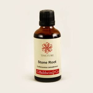 Baldwins Stone Root (collinsonia) Herbal Tincture