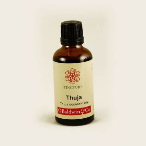 Baldwins Thuja ( Thuja Occidentalis ) Herbal Tincture