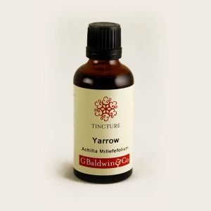 Baldwins Yarrow ( Achillea Millefolium ) Herbal Tincture