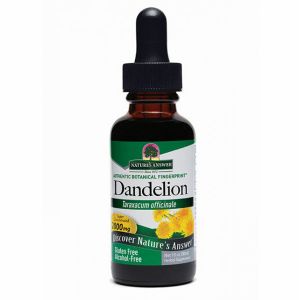 Natures Answer Dandelion Root Alcohol Free Fluid Extract 30ml