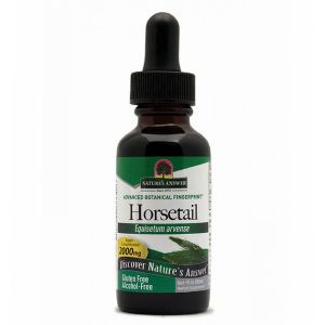Natures Answer Horsetail Alcohol Free Fluid Extract 30ml