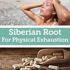 Baldwins Remedy Creator - Siberian Root For Physical Exhaustion