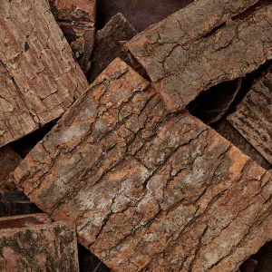Baldwins Cinnamon Bark (Rou Guii) Chinese Herb