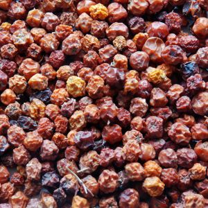 Baldwins Mountain Ash Berries ( Pyrus Aucuparia )