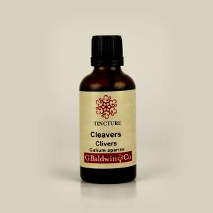 Baldwins Cleavers ( Galium Aparine ) Herbal Tincture
